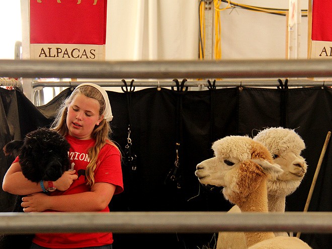 20Fair35 20Fair35