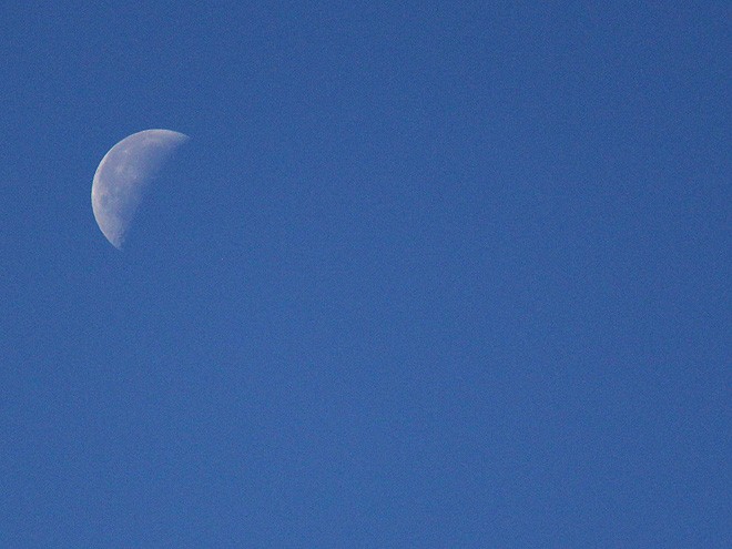 5Moon1 5Moon1