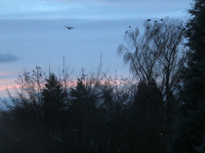 21Morning2 21Morning2