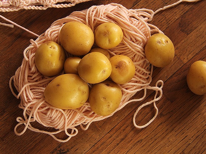 10PotatoNest1 10PotatoNest1