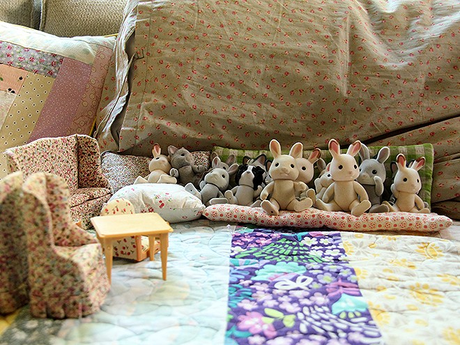 19Bunnies1 19Bunnies1