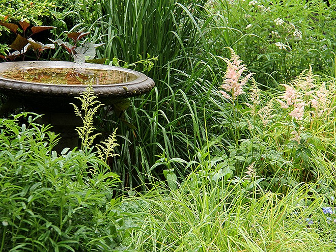 19Garden5 19Garden5