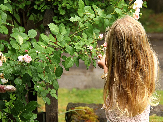 19Garden4 19Garden4