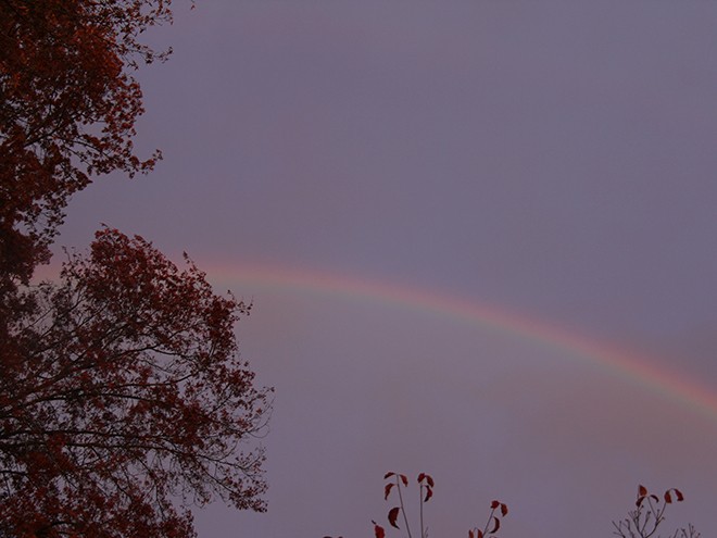 24RAinbow1 24RAinbow1