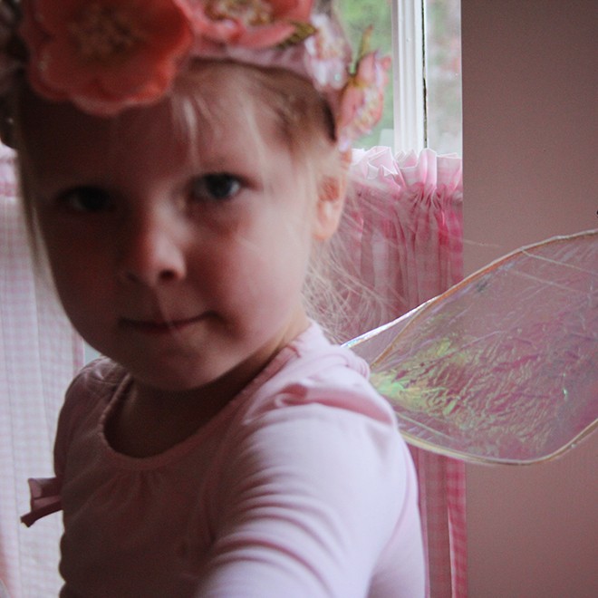 26Fairy1 26Fairy1