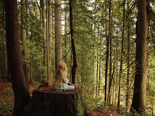 6Forest10 6Forest10