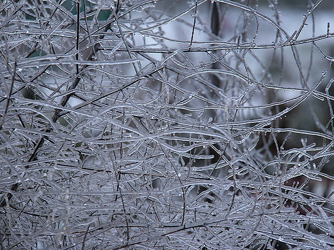 25Snow12 25Snow12