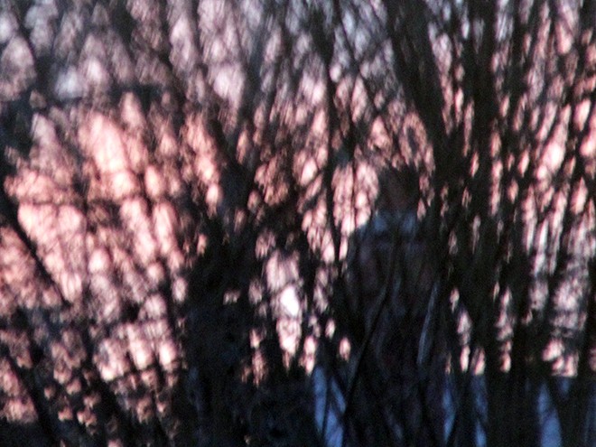 IMG_6255 IMG_6255