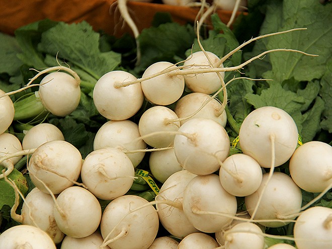 14Radishes1 14Radishes1