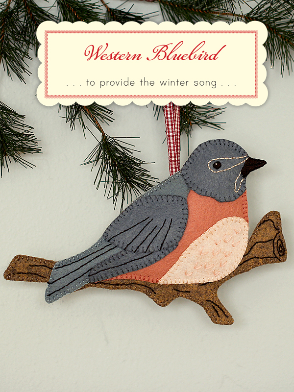 WesternBluebird1 WesternBluebird1