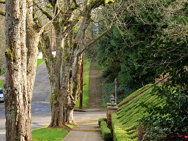 14Walk9