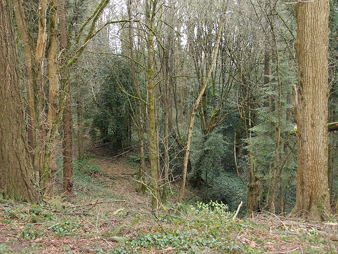 14Walk31