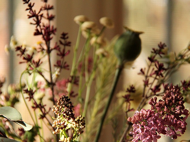 24MeadowFlowers1