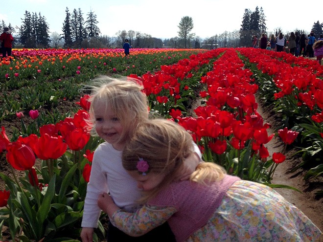 27Tulips20 27Tulips20