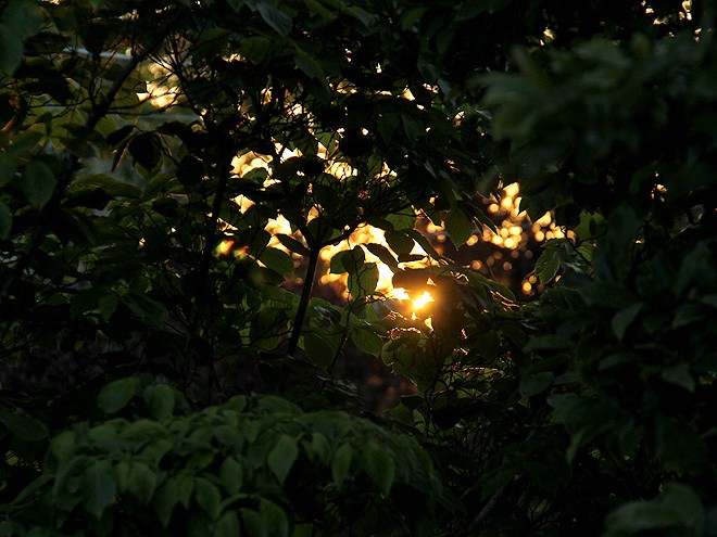 8Sunrise1 8Sunrise1