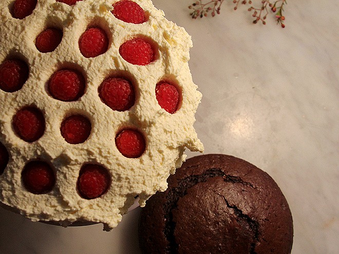7Cake1 7Cake1