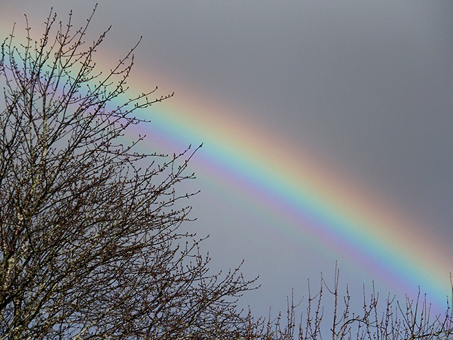 7RAinbow1 7RAinbow1