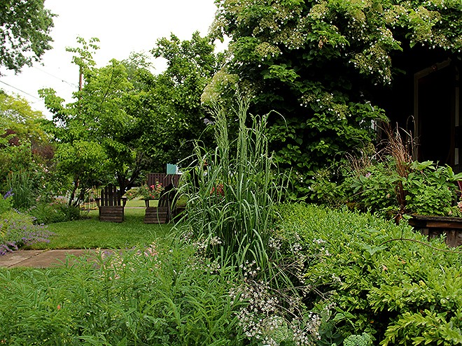 19Garden8 19Garden8