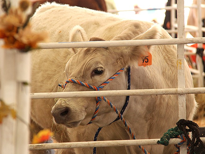 Fair10 Fair10