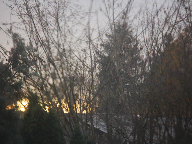 4Snow1 4Snow1