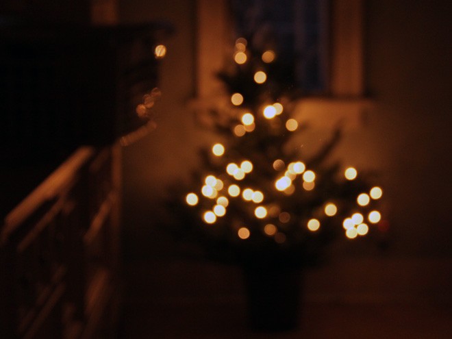 31Tree1