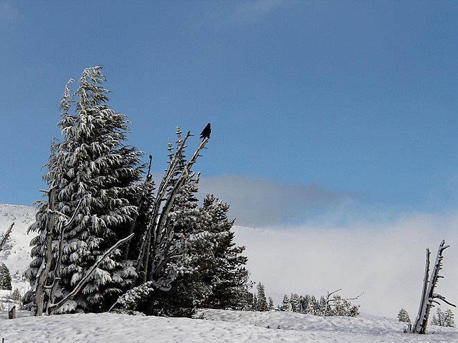 11Snow5
