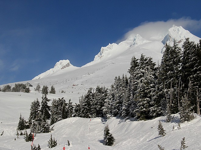 11Snow8