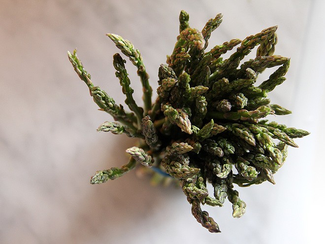21Asparagus1 21Asparagus1