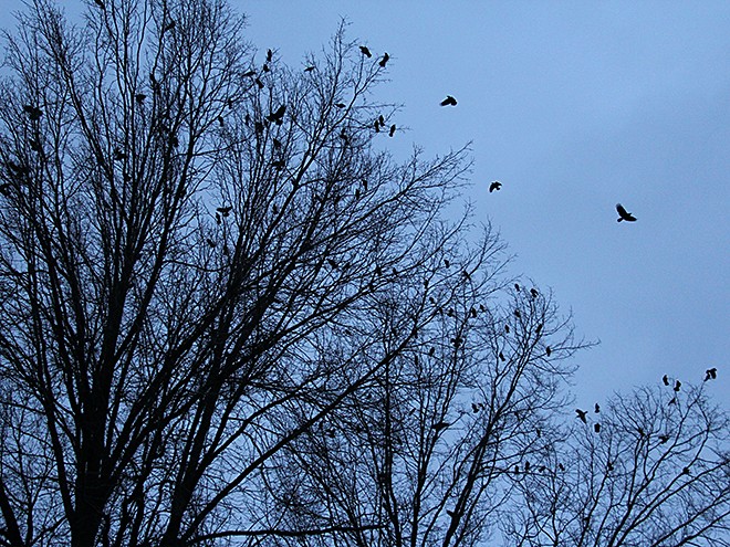 1Sky1 1Sky1