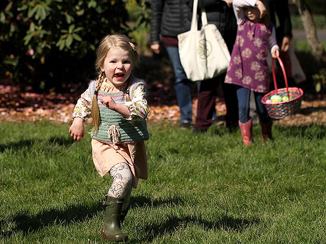 26EggHunt7 26EggHunt7