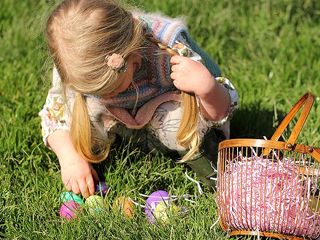 26EggHunt11 26EggHunt11