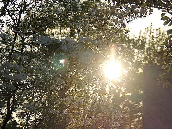 17Morning2 17Morning2