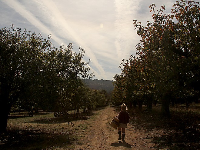 29Apples10 29Apples10