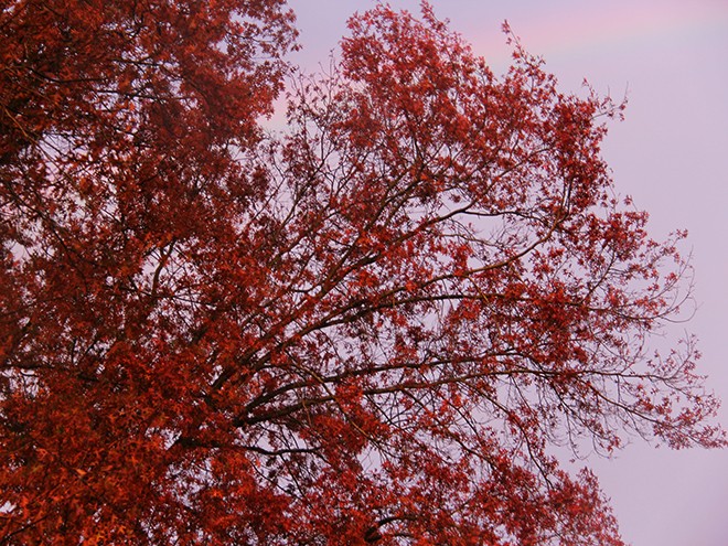24Rainbow2 24Rainbow2