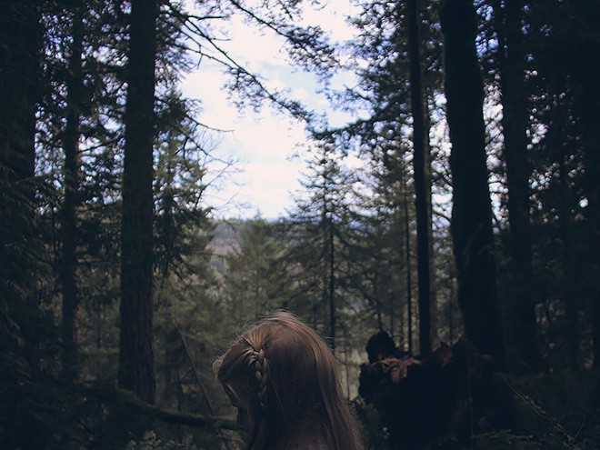 6Forest3 6Forest3