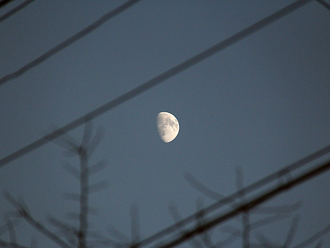 9Moon1 9Moon1