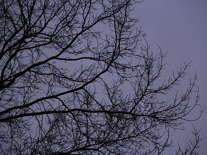 28AFternoon7 28AFternoon7