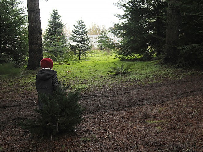 2Tree20 2Tree20