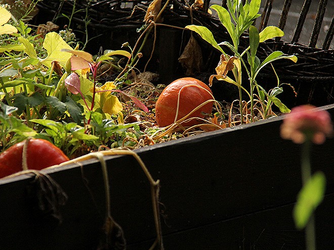 19GArden7 19GArden7