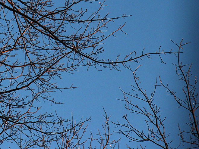 26Morning4 26Morning4