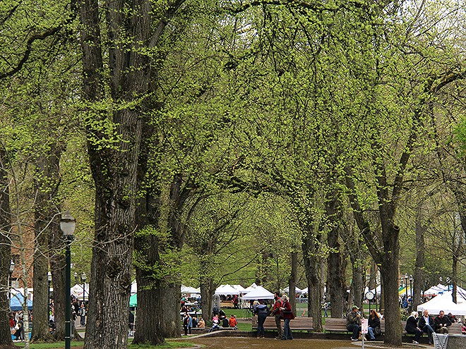14FarmersMarket2 14FarmersMarket2