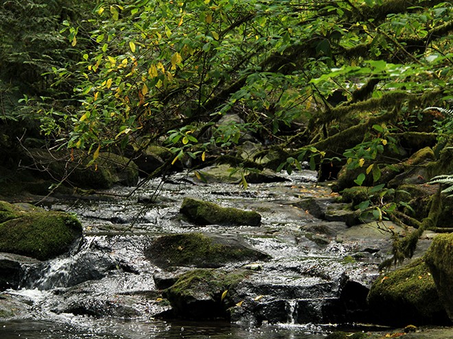 29Creek18 29Creek18