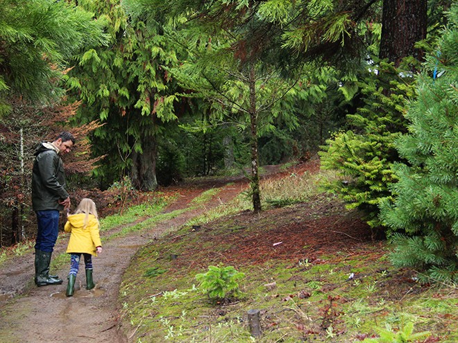 1TreeFarm8 1TreeFarm8
