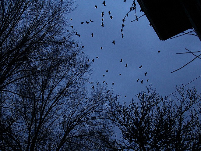 20Morning2 20Morning2