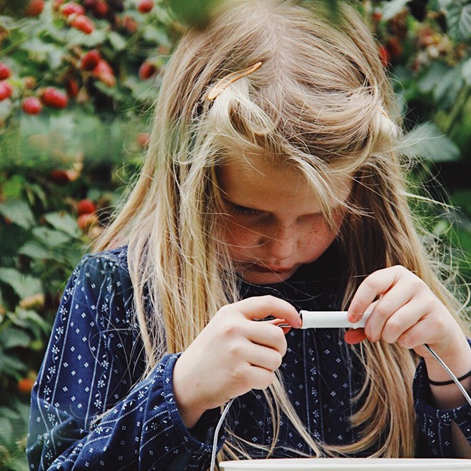 26IpadBerries1 26IpadBerries1