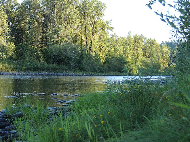 19River7 19River7