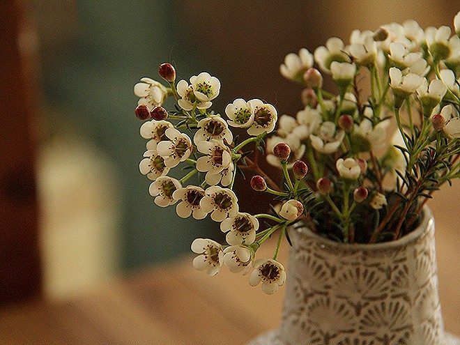 10Flowers1 10Flowers1
