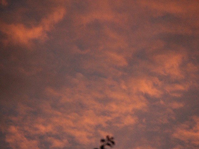 26Evening2 26Evening2