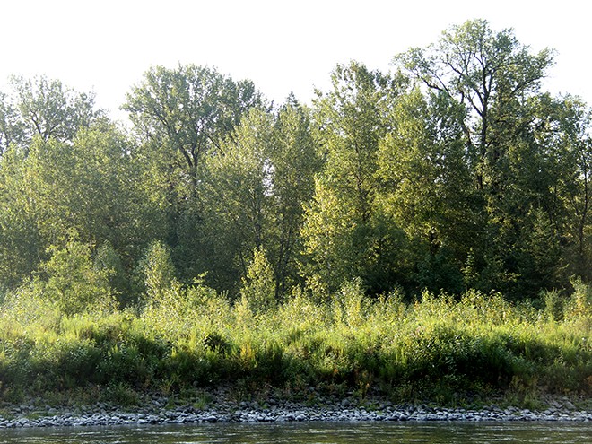 31River5 31River5