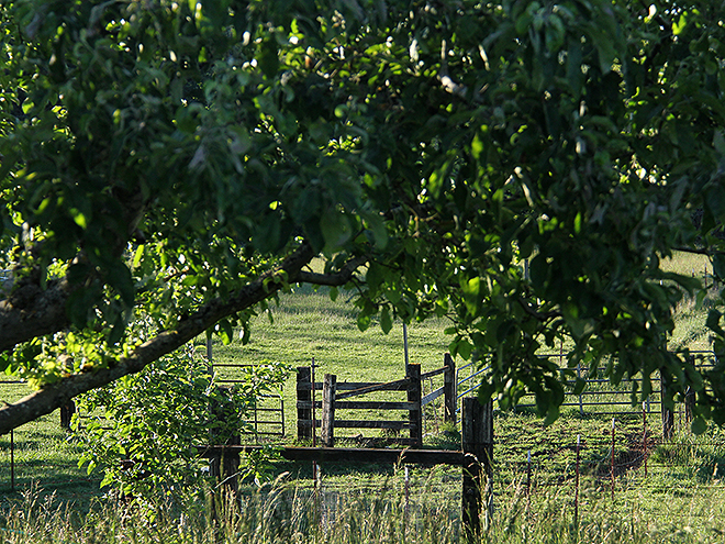 Farm2